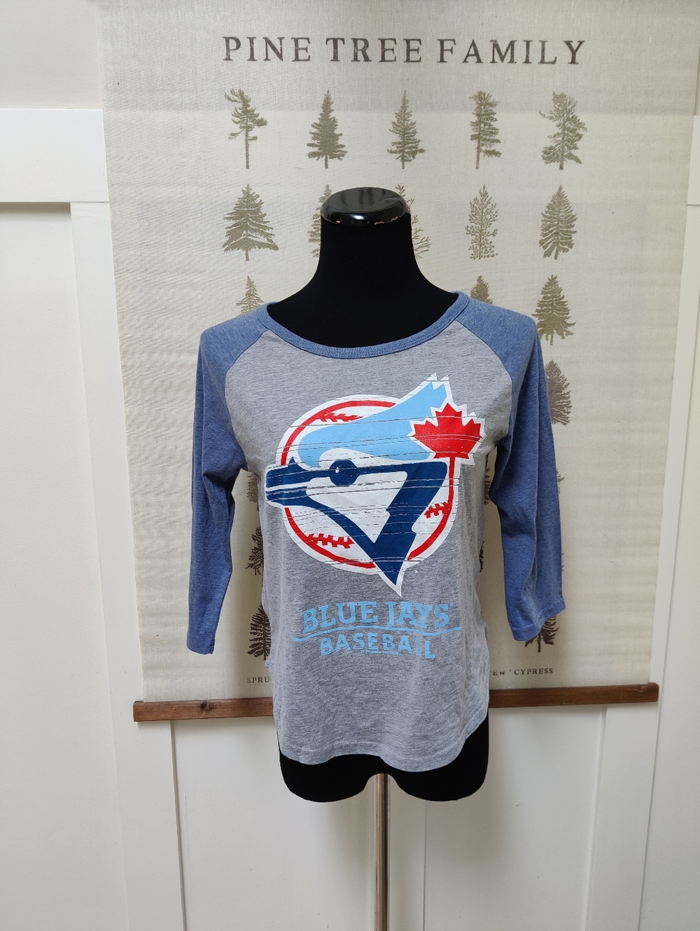Toronto Blue Jays MLB 3/4 Sleeve Baseball Tee - Blue & Grey Raglan - Large